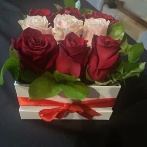 Box Rosas