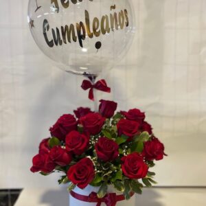 Amor Amor